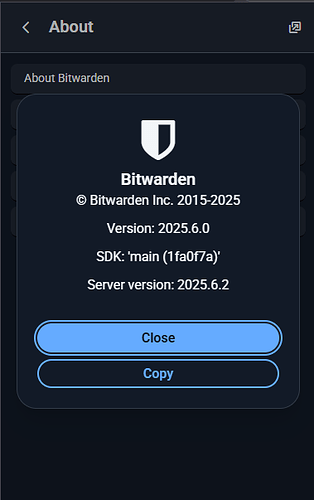 Bitwarden error in Brave Browser-7