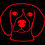 Dr_Ari_Gami