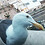 Gerald_Davenport
