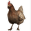Maku