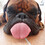 Marek_J