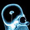 Pat_Erler