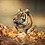 William_Chabot-Labbe